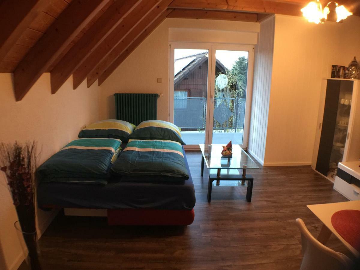 Ferienwohnung Alte B3 Рингсхайм Екстериор снимка