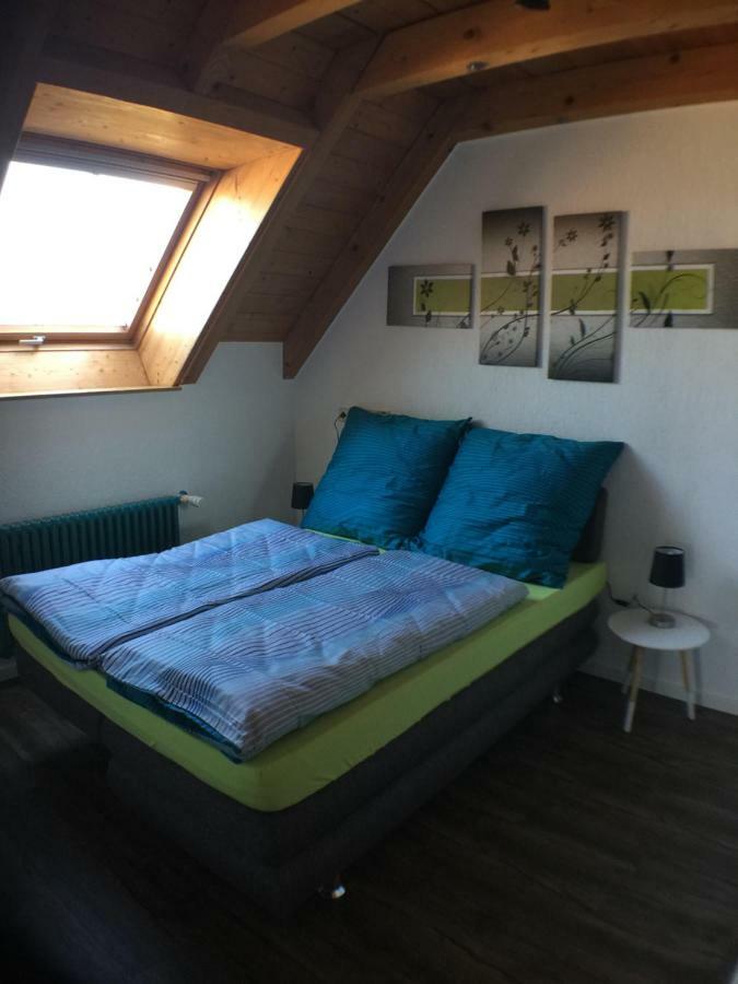 Ferienwohnung Alte B3 Рингсхайм Екстериор снимка