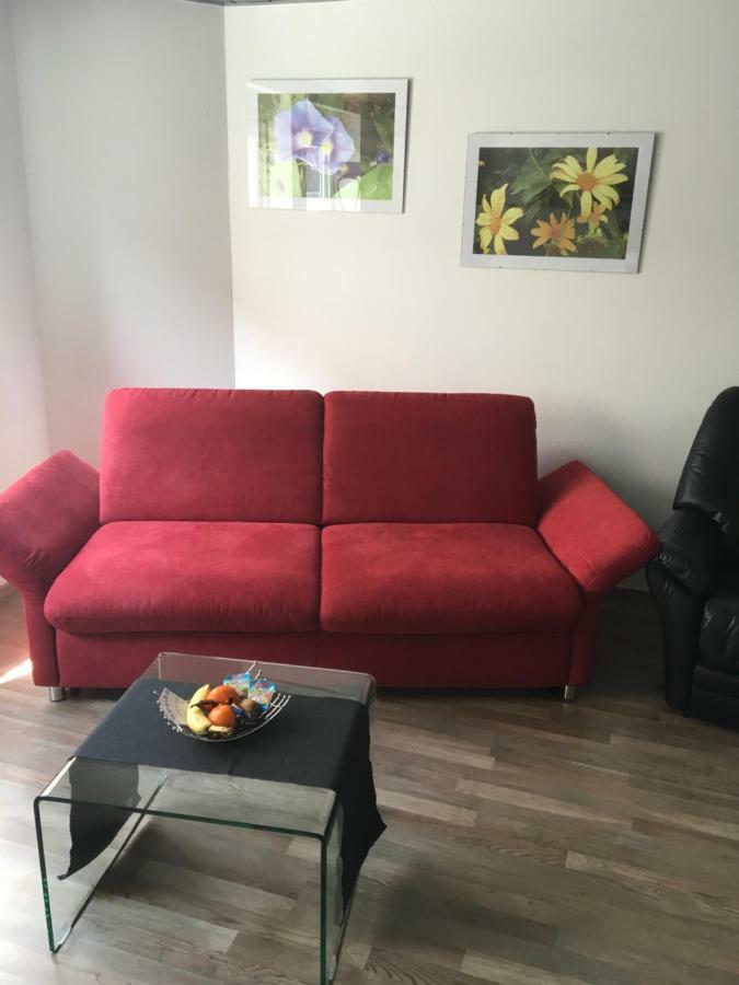Ferienwohnung Alte B3 Рингсхайм Екстериор снимка