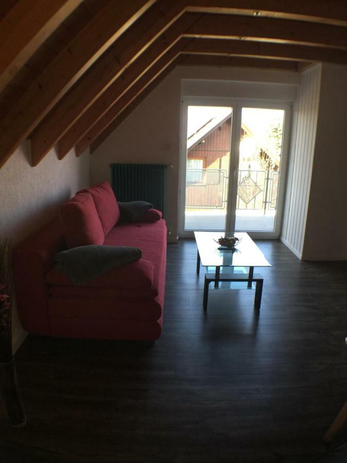 Ferienwohnung Alte B3 Рингсхайм Екстериор снимка