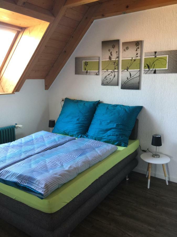 Ferienwohnung Alte B3 Рингсхайм Екстериор снимка
