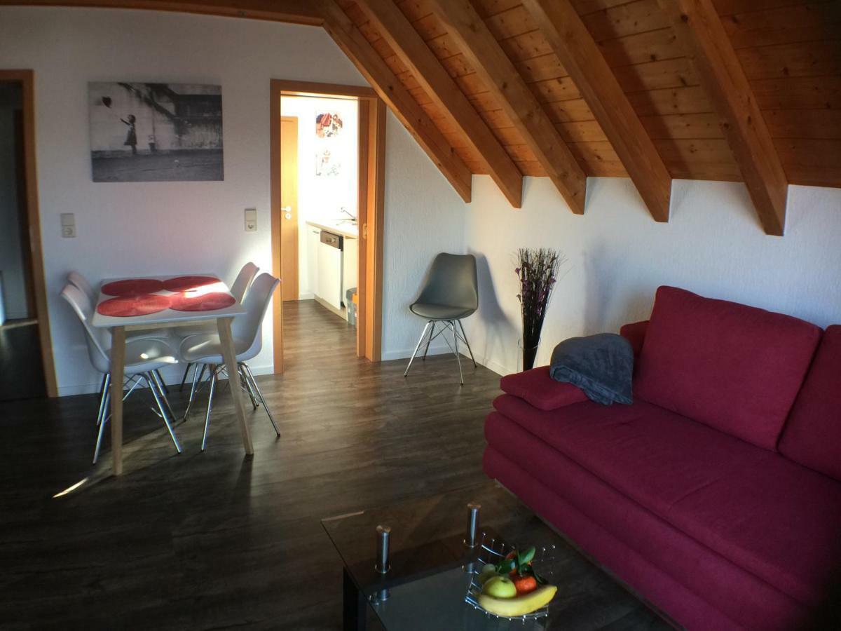 Ferienwohnung Alte B3 Рингсхайм Екстериор снимка